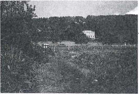 Cánh đồng xanh