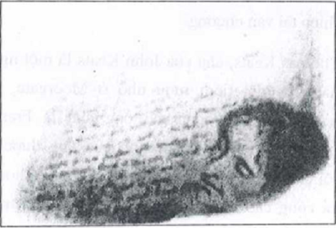 John Keats - ơi Mùa thu